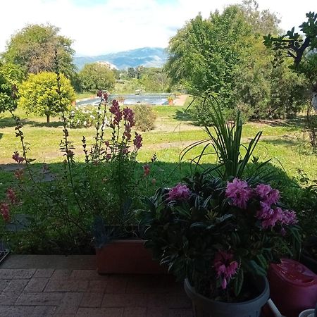 Casa Pratolungo Konuk evi Velletri Dış mekan fotoğraf