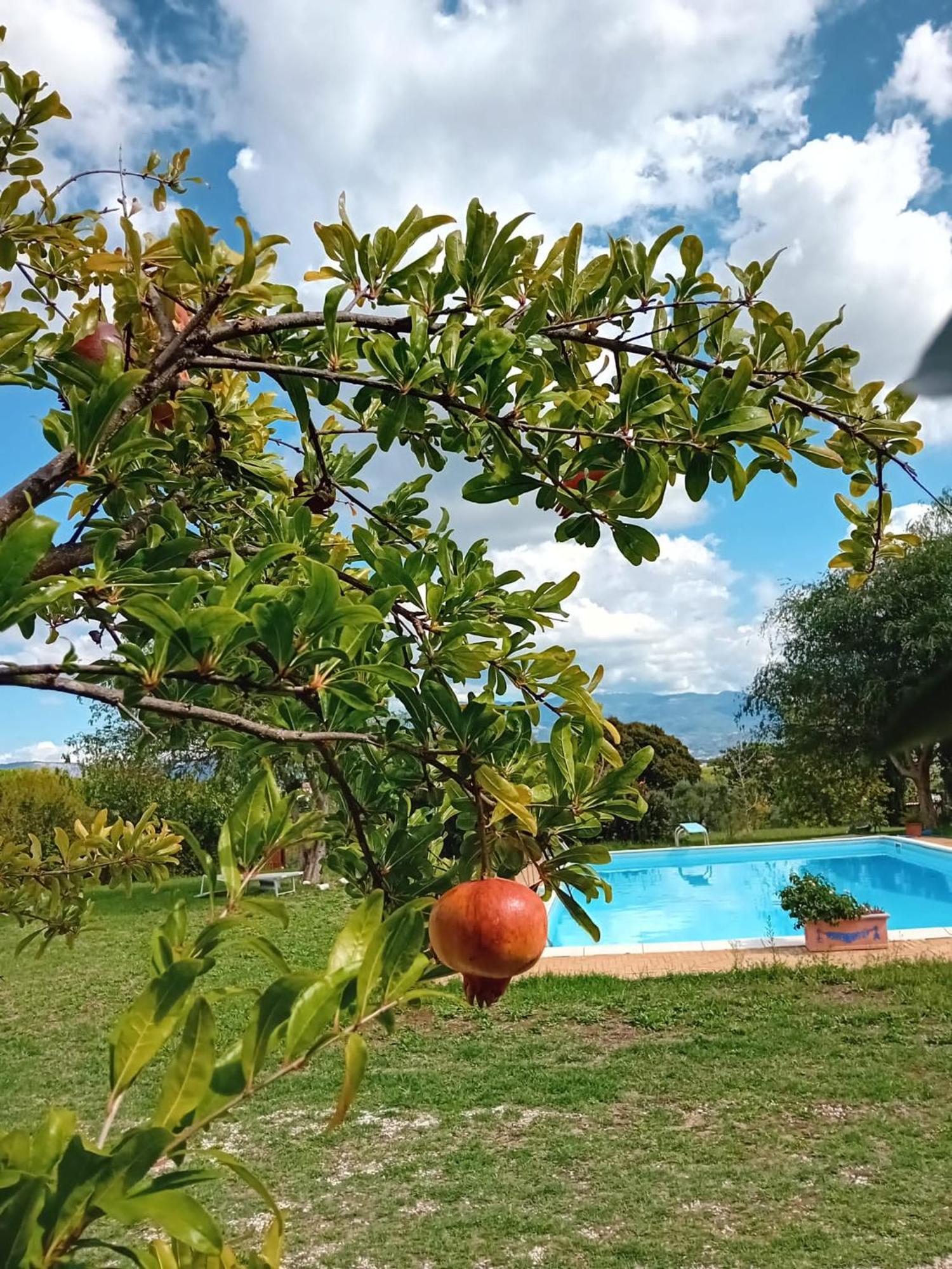 Casa Pratolungo Konuk evi Velletri Dış mekan fotoğraf