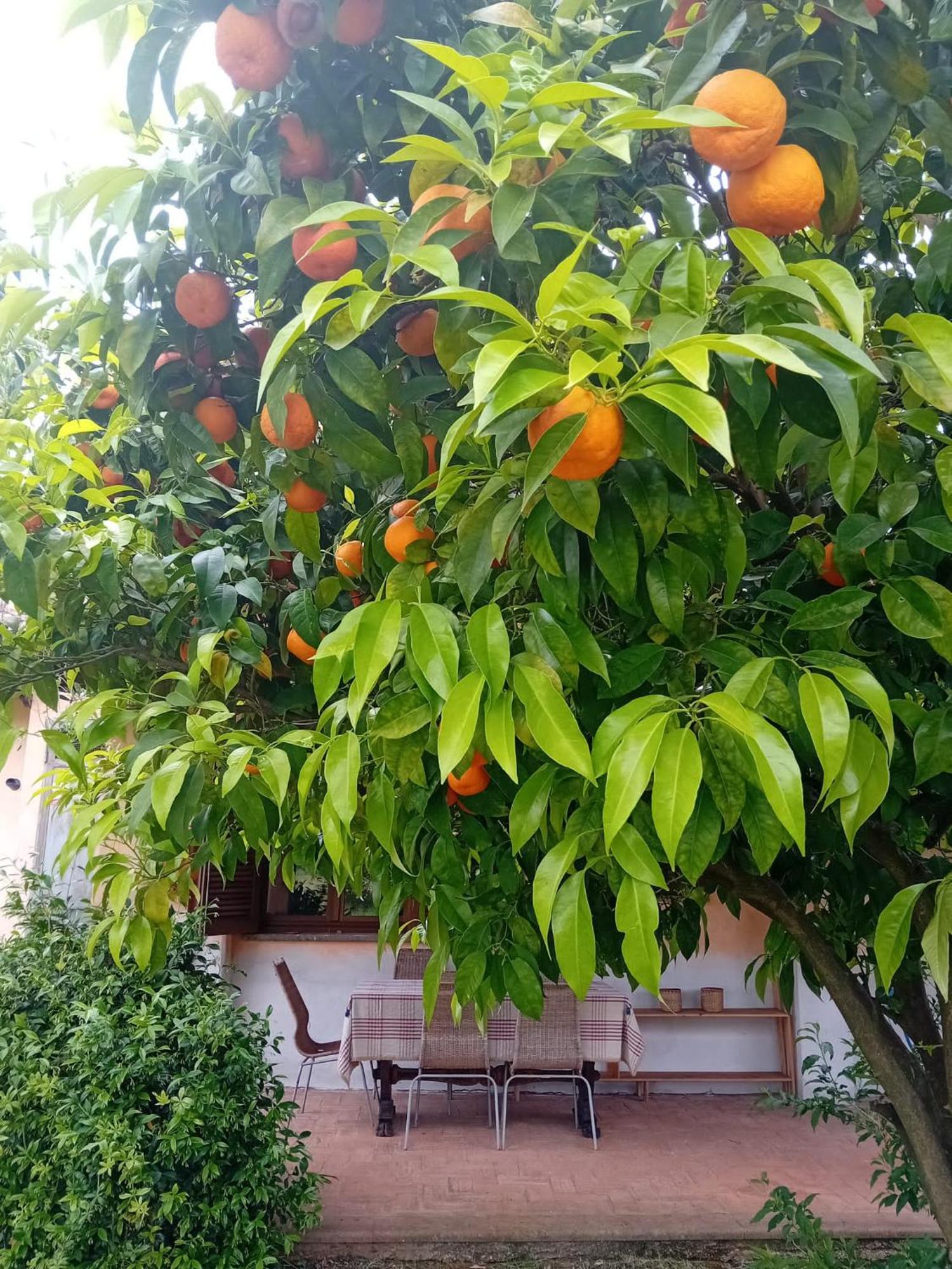 Casa Pratolungo Konuk evi Velletri Dış mekan fotoğraf